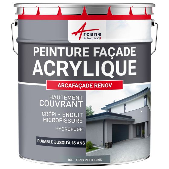 Peinture Façade Acrylique pour Crépi - ARCAFAÇADE RENOV-90-gris petit gris 10L.-Aspect / Couleur