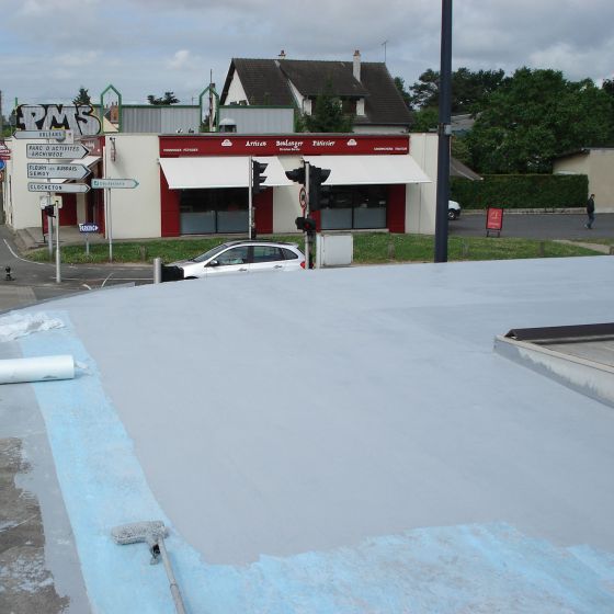 Résine d'Etanchéité - Peinture d'Etanchéité - Spécial Toit en Pente : ARCAFILM - Mise en situation Gris