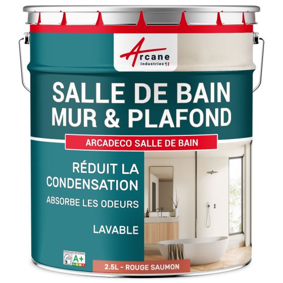 Peinture salle de bains mur et plafond :ARCADÉCO SALLE DE BAIN Peinture salle de bains mur et plafond :ARCADÉCO SALLE DE BAIN