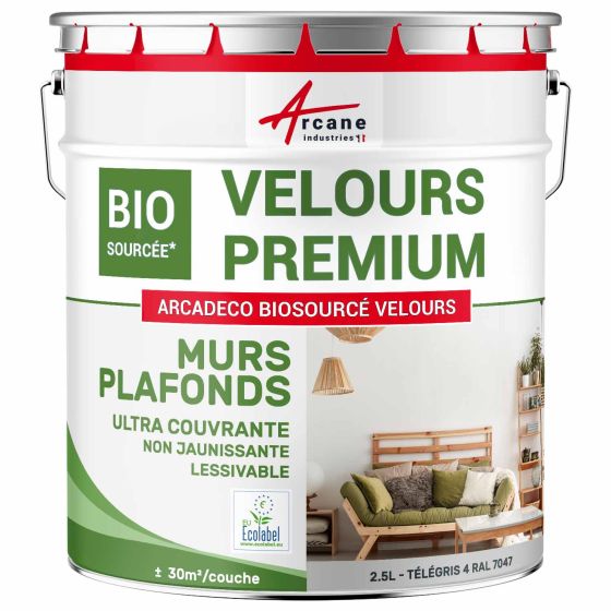 Peinture velours mur et plafond : Arcadéco Biosourcée Couleur / Aspect