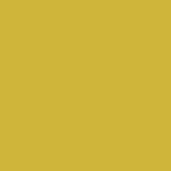 Peinture anti condensation Echantillon Couleur JAUNE CITRON