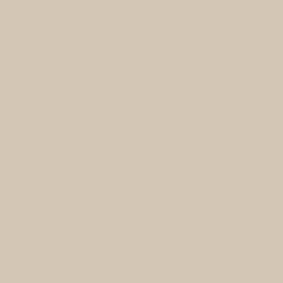 ARCAFAÇADE RENOV 10 L (+ o - 60 m² in 1 strato) Beige - RAL 080 80 10