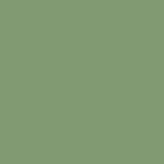 Vernice per Persiane in Legno: ARCALAC 202 2.5 L Verde Palldo - RAL 6021
