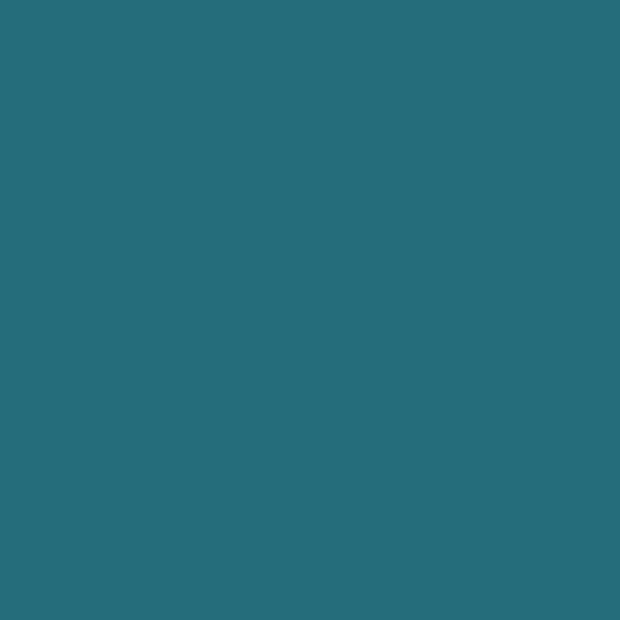PEINTURE RADIATEUR- Echantillon Couleur
