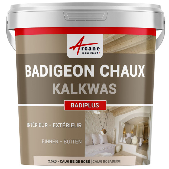 Kalkpleister voor Binnenmuren en Buiten Gevels - BADIPLUS - 2