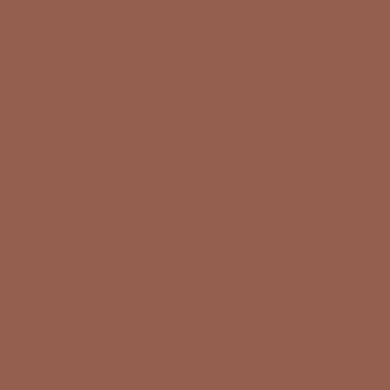 Intonaco a Calce per Muri Interni e Facciate Esterne - BADIPLUS 20 x 20 kg Marsala Marrone Rosso