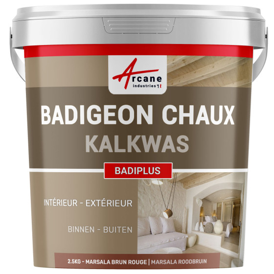 Kalkpleister voor Binnenmuren en Buiten Gevels - BADIPLUS - 2