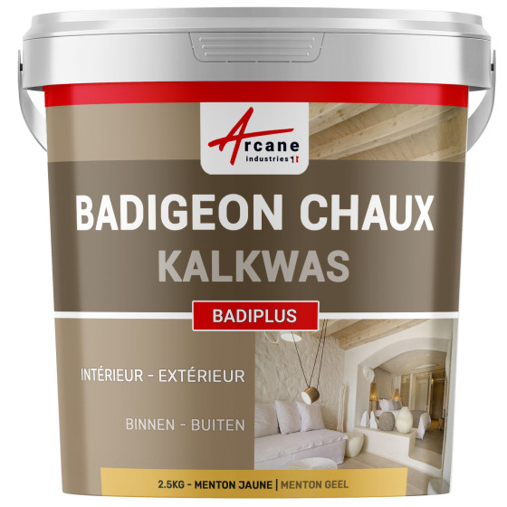 Kalkpleister voor Binnenmuren en Buiten Gevels - BADIPLUS - 2