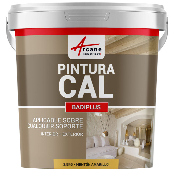 Encalado de Cal para Paredes Interiores y Fachadas Exteriores - BADIPLUS2.5 kg (hasta 12.5 m²) Encalado de Cal para Paredes Interiores y Fachadas Exteriores - BADIPLUS2.5 kg (hasta 12.5 m²)