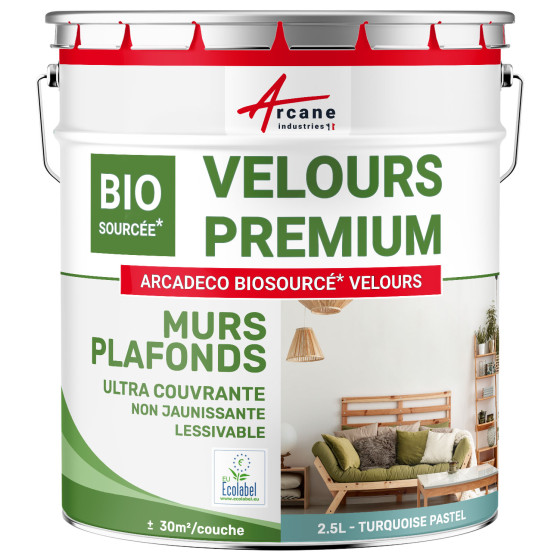 Peinture velours mur et plafond : ARCADÉCO BIOSOURCÉ Turquoise Pastel - RAL 6034 - 2.5 L (+ ou - 30m² par couche) Peinture velours mur et plafond : ARCADÉCO BIOSOURCÉ Turquoise Pastel - RAL 6034 - 2.5 L (+ ou - 30m² par couche)