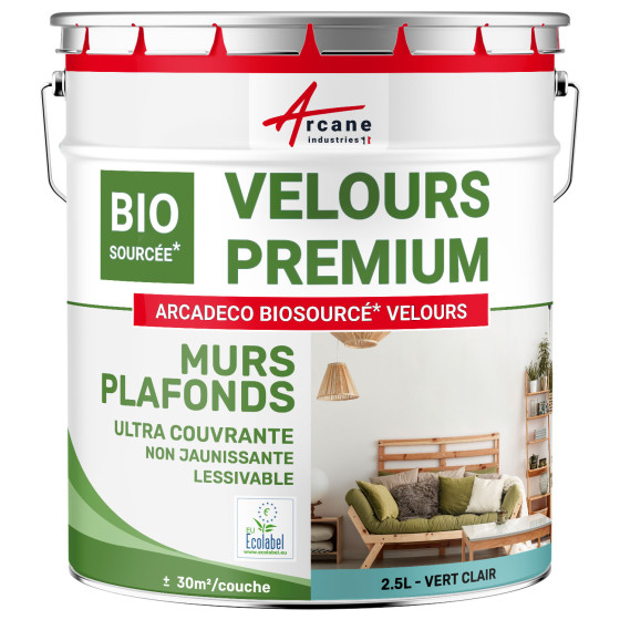Peinture velours mur et plafond : ARCADÉCO BIOSOURCÉ 2.5 L (+ ou - 30m² par couche) - Vert clair - RAL 6027 Peinture velours mur et plafond : ARCADÉCO BIOSOURCÉ 2.5 L (+ ou - 30m² par couche) - Vert clair - RAL 6027