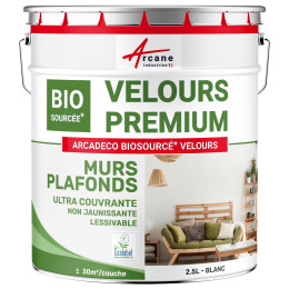 Peinture velours blanc mur et plafond : ARCADÉCO BIOSOURCÉ Blanc - 2.5 L + ou - 30m² par couche