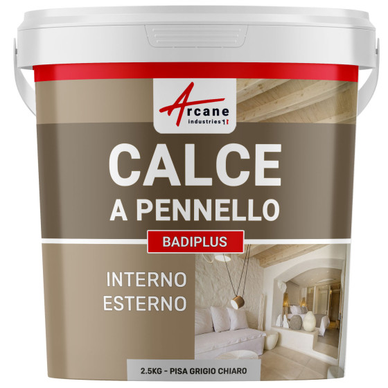 Calce a Pennello Grigio per Muri Interni e Facciate Esterne - BADIPLUS Pisa Grigio Chiaro - 2.5 kg 12.5 m² Calce a Pennello Grigio per Muri Interni e Facciate Esterne - BADIPLUS Pisa Grigio Chiaro - 2.5 kg 12.5 m²