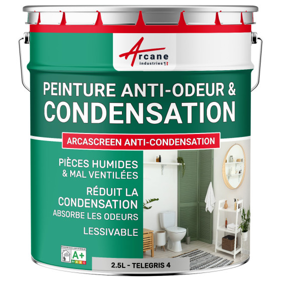 Peinture grise anti-condensation. anti-odeurs  pièce humide : ARCASCREEN ANTI-CONDENSATION Telegris 4 - RAL 7047 - 2.5 L