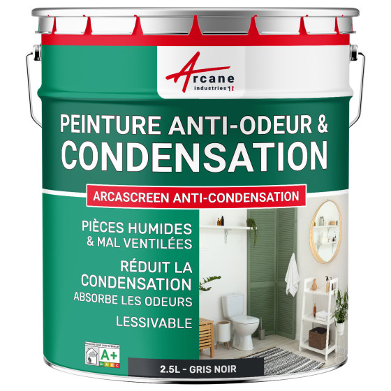 Peinture noire anti-condensation. anti-odeurs  pièce humide : ARCASCREEN ANTI-CONDENSATION 2.5 L - Gris Noir - RAL 7021