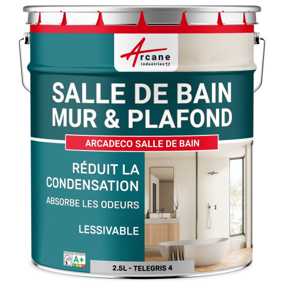 Peinture salle de bain gris mur et plafond :ARCADÉCO SALLE DE BAIN Telegris 4 - RAL 7047 - 2.5 L