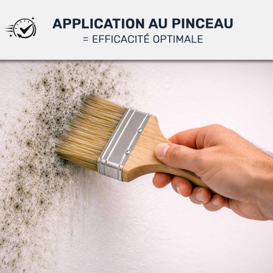 Anti-moisissures haute performance - STOP MOISISSURES