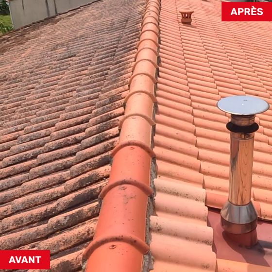 produit nettoyage toiture - NET'TOIT