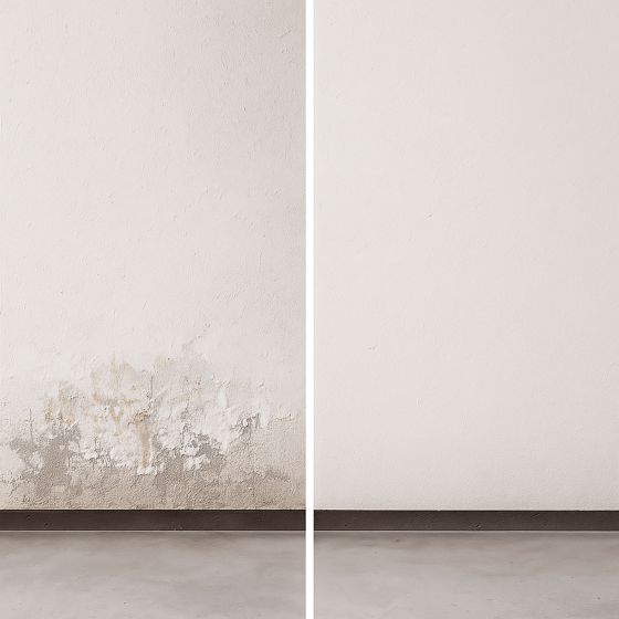 Tratamiento antisalitre: contra moho, grietas y desconchados - ARCASALT CLEAN