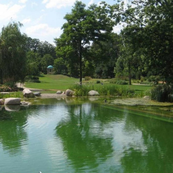 Pintura para Piscina de Hormigón - ARCAPOOL