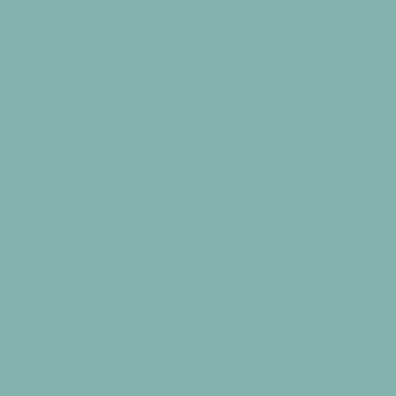 PEINTURE MEUBLE - Echantillon Couleur