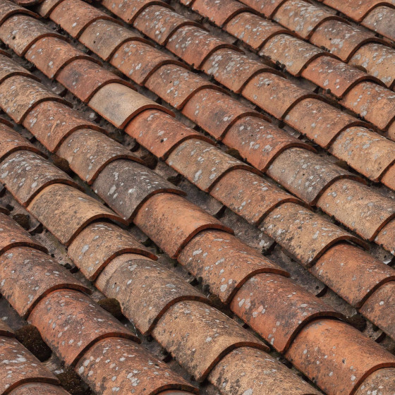 Prodotto per la pulizia del tetto veloce ed efficace: NET'TOIT