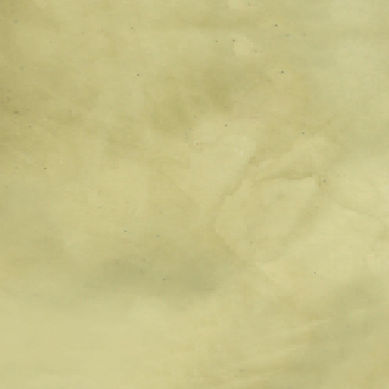 Stucco verf, STUCCOLIS pleister met mortel en kleurstof