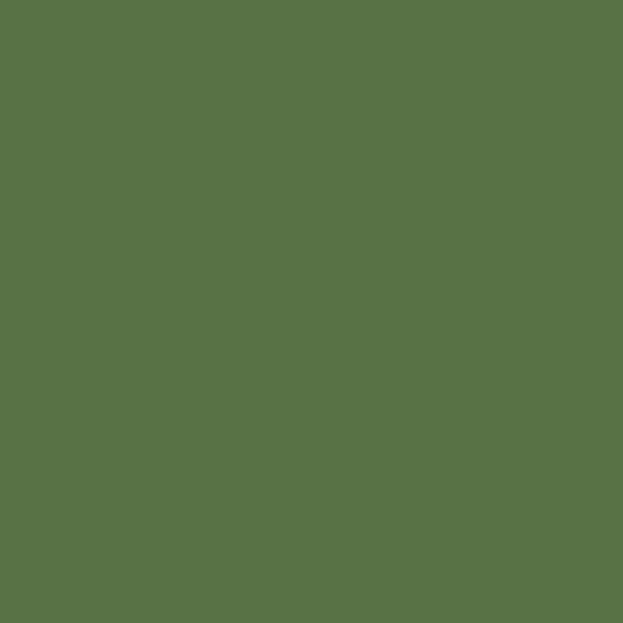 PEINTURE RADIATEUR- Echantillon Couleur