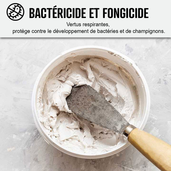 enduit à la chaux exterieur - TRADIPLUS