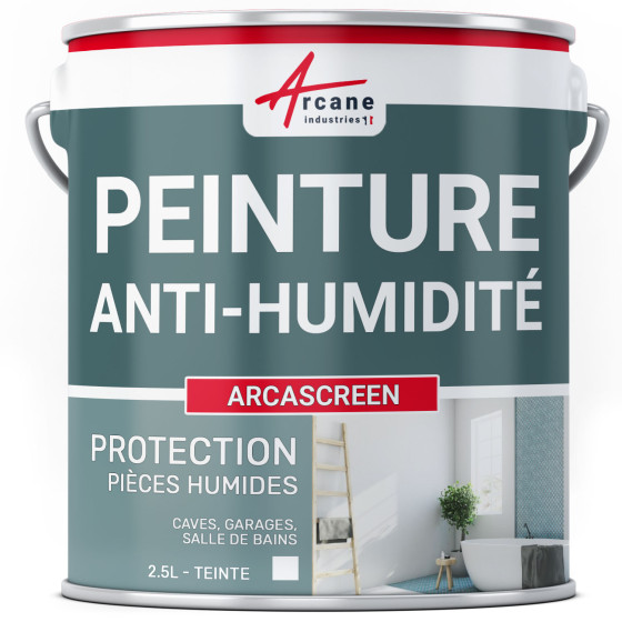 Peinture anti humidité pour des murs humides de salle de bain ou cave : ARCASCREEN-2-5L-jusqua-10m2-Blanc-Couleur / Aspect Peinture anti humidité pour des murs humides de salle de bain ou cave : ARCASCREEN-2-5L-jusqua-10m2-Blanc-Couleur / Aspect