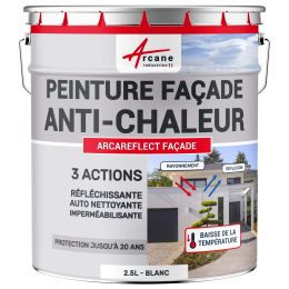 Peinture facade anti chaleur Couleur / Aspect