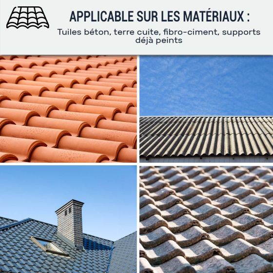 Peinture Toiture et Tuiles : Coverfilm