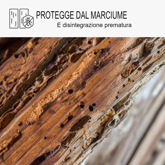 Trattamento Legno Anti Termiti