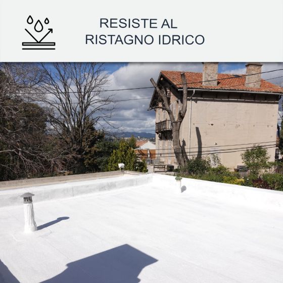 Vernice per tetti Coolroof resistente alla stagnazione dell'acqua: ARCAREFLECT - 1214 15 kg Bianco