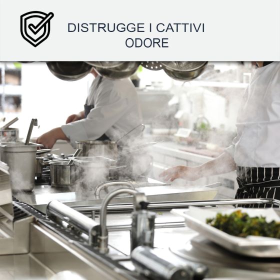 Peintura lavabile per cucina, pareti e soffitto : ARCADECO CUCINA 