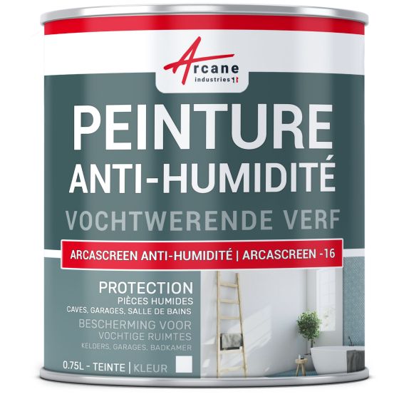 Vochtwerende verf voor vochtige muren in badkamers of kelders: ARCASCREEN -16