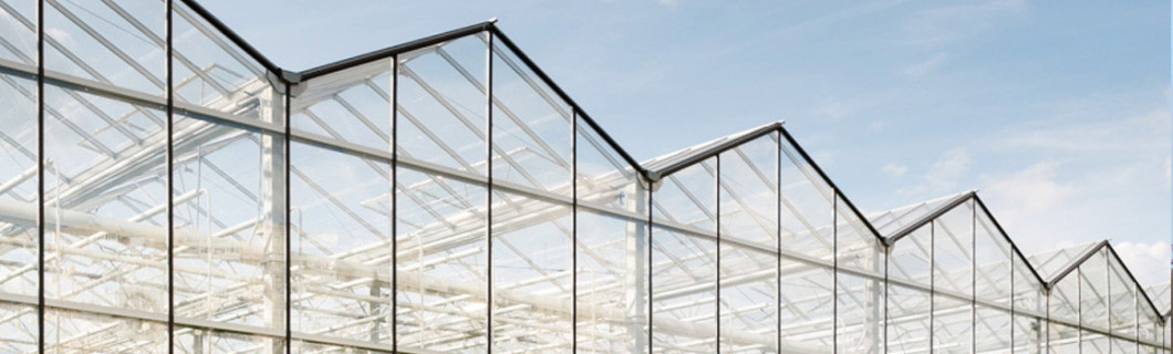 Pintura de sombreado para invernaderos de cristal o policarbonato