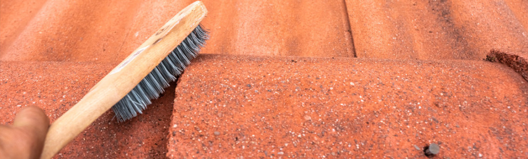 Dakreinigingsproduct - Maison Etanche