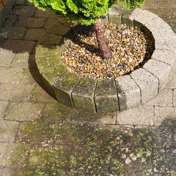 Produit Fongicide, Anti dépôt vert