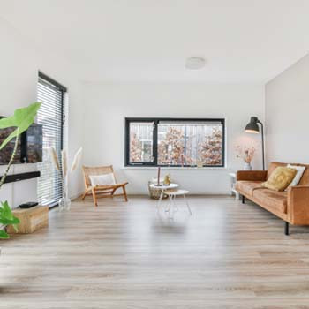 Peinture Mur et Plafond