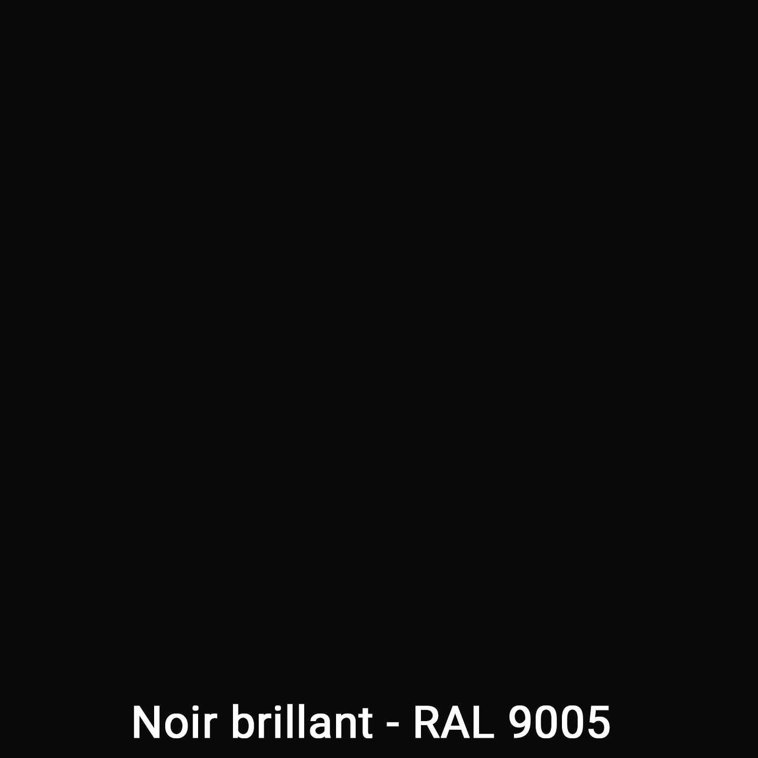 Noir Brillant (Ral 9005)