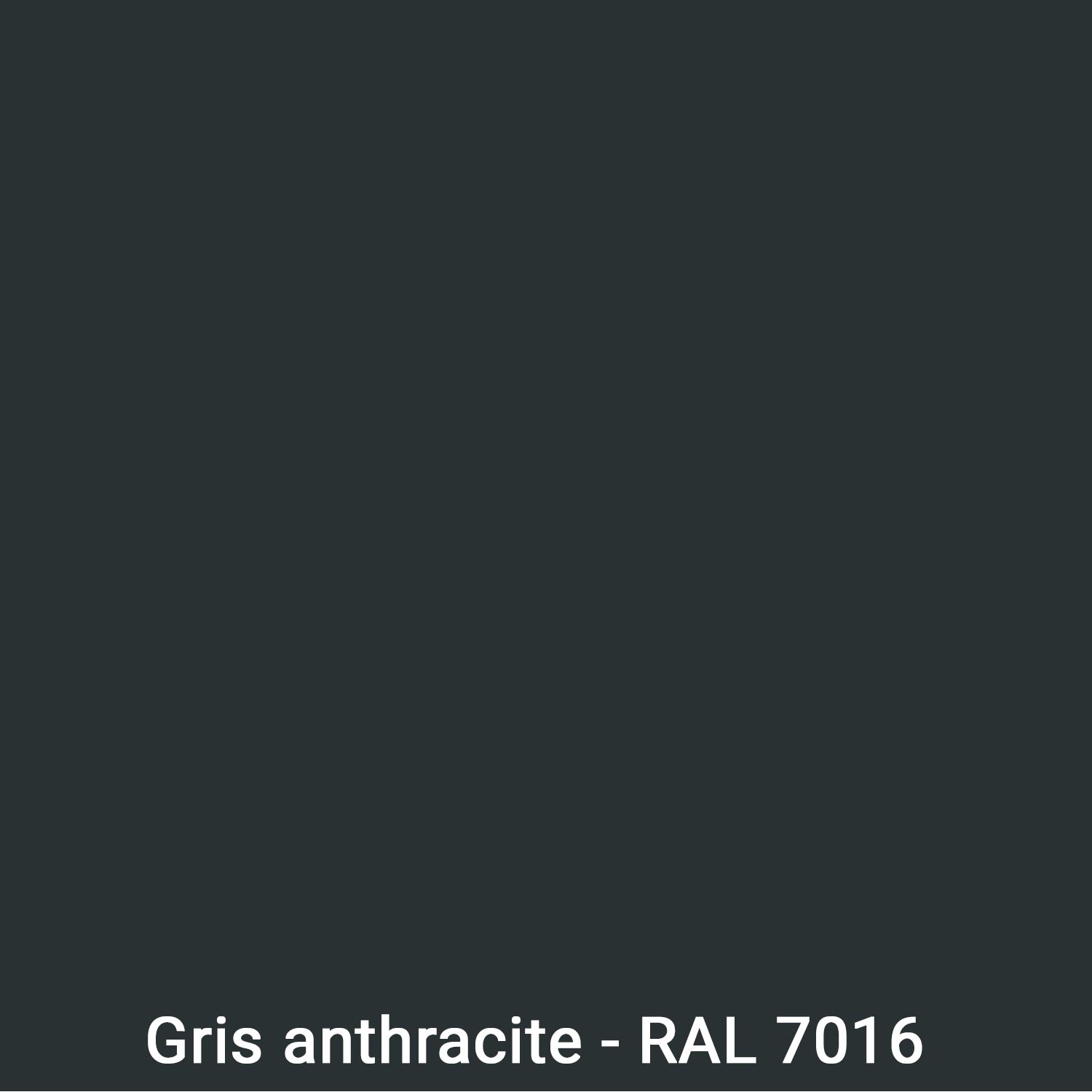 Gris Anthracite (Ral 7016)